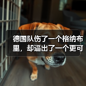 德国队伤了一个格纳布里，却逼出了一个更可怕的维尔茨（图1）
