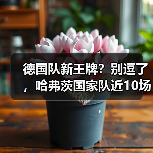 德国队新王牌?别逗了,哈弗茨国家队近10场仅3球效率不稳这事我憋了一肚子话(图1) 德国队新王牌?别逗了,哈弗茨国家队近10场仅3球效率不稳这事我憋了一肚子话(图1)