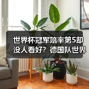 世界杯冠军赔率第5却没人看好？德国队世界杯需靠团队弥补球星缺失（图2）