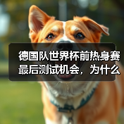 德国队世界杯前热身赛最后测试机会,为什么这场没人敢划水?(图3) 德国队世界杯前热身赛最后测试机会,为什么这场没人敢划水?(图3)