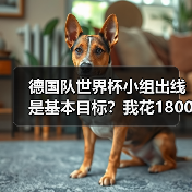 德国队世界杯小组出线是基本目标?我花1800块买了张球票才想明白(图3) 德国队世界杯小组出线是基本目标?我花1800块买了张球票才想明白(图3)