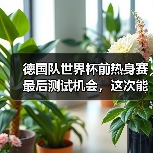 德国队世界杯前热身赛最后测试机会，这次能信他们吗？（图4）