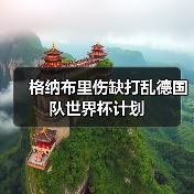 格纳布里伤缺打乱德国队世界杯计划（图4）
