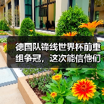 德国队锋线世界杯前重组争冠,这次能信他们吗?(图3) 德国队锋线世界杯前重组争冠,这次能信他们吗?(图3)