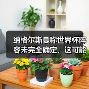 纳格尔斯曼称世界杯阵容未完全确定，这可能是2026年最大的变数（图2）