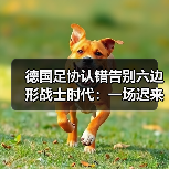 德国足协认错告别六边形战士时代:一场迟来4年的觉醒(图1) 德国足协认错告别六边形战士时代:一场迟来4年的觉醒(图1)