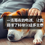 一场雨夜的电话,让我搞懂了科穆尔成多支意甲球队引援目标背后的逻辑(图2) 一场雨夜的电话,让我搞懂了科穆尔成多支意甲球队引援目标背后的逻辑(图2)