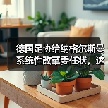 德国足协给纳格尔斯曼系统性改革委任状,这届欧洲杯要变天?(图1) 德国足协给纳格尔斯曼系统性改革委任状,这届欧洲杯要变天?(图1)