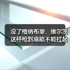 没了格纳布里，维尔茨这杆枪到底能不能扛起德国队进攻？（图1）