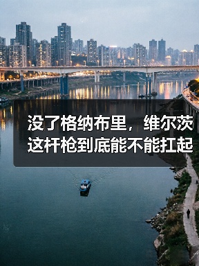 没了格纳布里，维尔茨这杆枪到底能不能扛起德国队进攻？（图3）