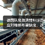 德国队需激活替补球员应对格纳布里缺席,这3个边缘人该上位了(图3) 德国队需激活替补球员应对格纳布里缺席,这3个边缘人该上位了(图3)