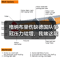 格纳布里伤缺德国队争冠压力陡增,我赌这届欧洲杯要变天(图2) 格纳布里伤缺德国队争冠压力陡增,我赌这届欧洲杯要变天(图2)