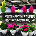 德国队更衣室士气因格纳布里伤缺受影响，这届欧洲杯悬了？（图2）