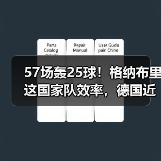 57场轰25球!格纳布里这国家队效率,德国近20年就俩人能做到(图3) 57场轰25球!格纳布里这国家队效率,德国近20年就俩人能做到(图3)