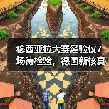 穆西亚拉大赛经验仅7场待检验，德国新核真要翻车？（图1）