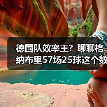 德国队效率王?聊聊格纳布里57场25球这个数据到底多吓人(图2) 德国队效率王?聊聊格纳布里57场25球这个数据到底多吓人(图2)