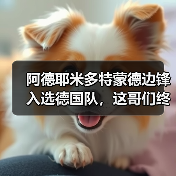 阿德耶米多特蒙德边锋入选德国队,这哥们终于等到了(图3) 阿德耶米多特蒙德边锋入选德国队,这哥们终于等到了(图3)