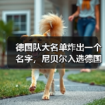 德国队大名单炸出一个名字，尼贝尔入选德国队门将名单这事我得说几句（图2）