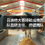 吕迪格大赛经验成德国队后防支柱,但德国队真稳了吗?(图4) 吕迪格大赛经验成德国队后防支柱,但德国队真稳了吗?(图4)