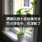 德国队瑞士战哈弗茨主罚点球命中,我赌输了800块钱(图1) 德国队瑞士战哈弗茨主罚点球命中,我赌输了800块钱(图1)