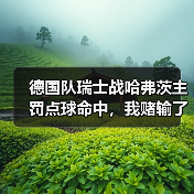 德国队瑞士战哈弗茨主罚点球命中,我赌输了800块钱(图2) 德国队瑞士战哈弗茨主罚点球命中,我赌输了800块钱(图2)