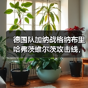 德国队加纳战格纳布里哈弗茨维尔茨攻击线，我花了三年才看懂这套组合（图3）