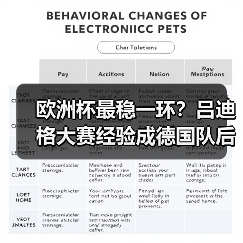 欧洲杯最稳一环？吕迪格大赛经验成德国队后防支柱（图3）