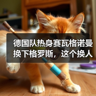 德国队热身赛瓦格诺曼换下格罗斯,这个换人我看懵了(图1) 德国队热身赛瓦格诺曼换下格罗斯,这个换人我看懵了(图1)