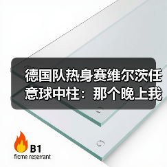 德国队热身赛维尔茨任意球中柱：那个晚上我差点以为球网要炸了（图2）