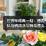 世界杯经典一刻:德国队加纳战沃尔特马德头球中横梁,我当时气得摔了遥控器(图4) 世界杯经典一刻:德国队加纳战沃尔特马德头球中横梁,我当时气得摔了遥控器(图4)