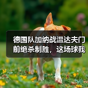 德国队加纳战温达夫门前绝杀制胜，这场球我看得血压拉满（图2）