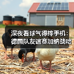 深夜看球气得摔手机:德国队友谊赛加纳战哈弗茨点射破门,但问题远没解决(图3) 深夜看球气得摔手机:德国队友谊赛加纳战哈弗茨点射破门,但问题远没解决(图3)