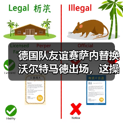 德国队友谊赛萨内替换沃尔特马德出场，这操作我看懵了（图2）