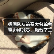 德国队友谊赛大名单考察边缘球员，我熬了三个晚上发现这些秘密（图1）