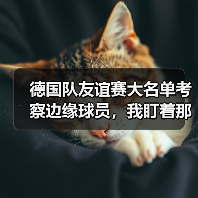 德国队友谊赛大名单考察边缘球员，我盯着那22个人看了3小时（图2）
