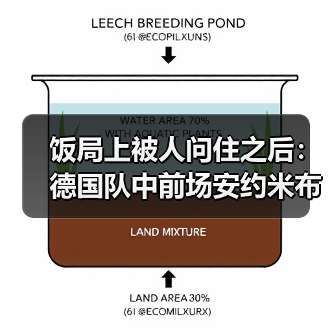 饭局上被人问住之后:德国队中前场安约米布兰德切尔奇入选(图1) 饭局上被人问住之后:德国队中前场安约米布兰德切尔奇入选(图1)