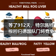 等了912天，特尔施特根回归德国队门将竞争白热化（图3）