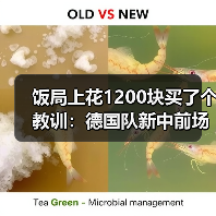 饭局上花1200块买了个教训:德国队新中前场名单多名新人入选(图4) 饭局上花1200块买了个教训:德国队新中前场名单多名新人入选(图4)
