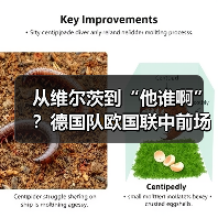 从维尔茨到“他谁啊”?德国队欧国联中前场名单大洗牌把我整懵了(图2) 从维尔茨到“他谁啊”?德国队欧国联中前场名单大洗牌把我整懵了(图2)