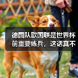 德国队欧国联是世界杯前重要练兵,这话真不是客套(图1) 德国队欧国联是世界杯前重要练兵,这话真不是客套(图1)