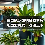 德国队欧国联是世界杯前重要练兵,这话真不是客套(图3) 德国队欧国联是世界杯前重要练兵,这话真不是客套(图3)