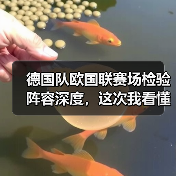 德国队欧国联赛场检验阵容深度,这次我看懂了(图1) 德国队欧国联赛场检验阵容深度,这次我看懂了(图1)