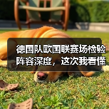德国队欧国联赛场检验阵容深度,这次我看懂了(图3) 德国队欧国联赛场检验阵容深度,这次我看懂了(图3)