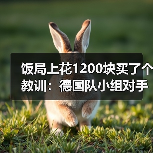 饭局上花1200块买了个教训：德国队小组对手实力相对较弱（图3）