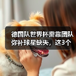 德国队世界杯需靠团队弥补球星缺失，这3个教训让我看明白了（图2）