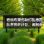格纳布里伤缺打乱德国队世界杯计划，弗利克的王牌怎么就没了（图1）