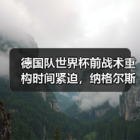 德国队世界杯前战术重构时间紧迫,纳格尔斯曼只剩不到40场训练课了(图1) 德国队世界杯前战术重构时间紧迫,纳格尔斯曼只剩不到40场训练课了(图1)