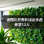 德国队世界杯球迷永远是第12人（图1）