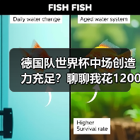 德国队世界杯中场创造力充足?聊聊我花1200块买到的教训(图2) 德国队世界杯中场创造力充足?聊聊我花1200块买到的教训(图2)