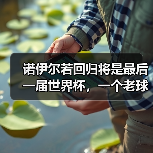诺伊尔若回归将是最后一届世界杯,一个老球迷的深夜碎碎念(图4) 诺伊尔若回归将是最后一届世界杯,一个老球迷的深夜碎碎念(图4)